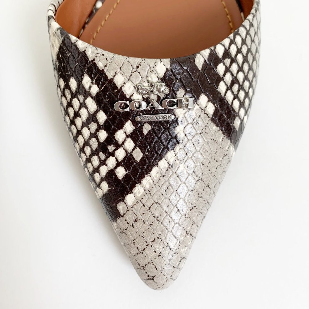 ❌SOLD- COACH Printed Exotic Pointy Toe Flat 5.5 - Picture 7 of 11